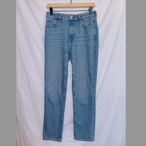 PacSun Medium wash Denim High Waisted Straight Leg Mom Jean size 27